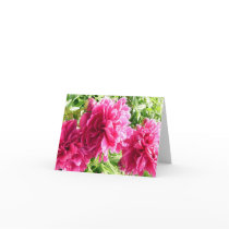 Cheery Peonies / Note Card
