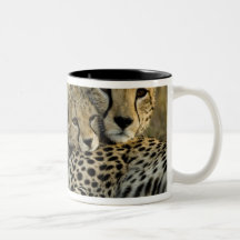 Cheetah, Acinonyx jubatus, with cub in the Masai 2 Coffee Mug