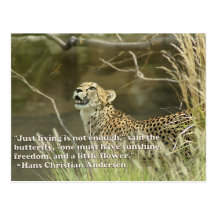 CHEETAH AND BUTTERFLY POSTCARDS