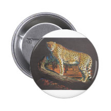 Cheetah at Rest Pin