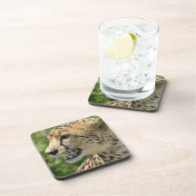 Cheetah Attack Cork Coasters