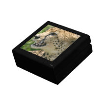 Cheetah Attack Gift Box