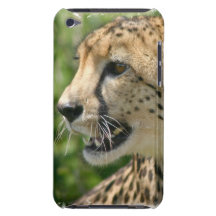 Cheetah Attack iTouch Case Case-Mate iPod Touch Case