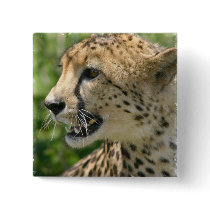 Cheetah Attack Square Pin