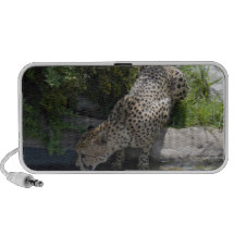 cheetah-b-1 travelling speaker