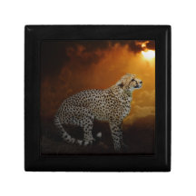 Cheetah beauty and sunset trinket boxes