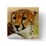 Cheetah buttons