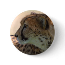 Cheetah Pinback Button