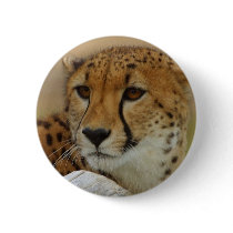 Cheetah Button