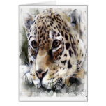 Cheetah Card