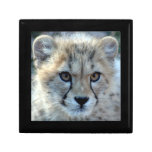 cheetah-cub10x10 keepsake boxes
