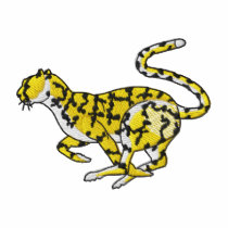 Cheetah