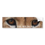 Cheetah Eyes1, SAVE THE WILDLIFE Bumper Stickers