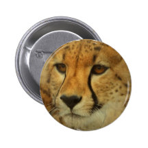 Cheetah Face Square Button
