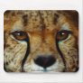 CHEETAH FACE Wildlife Mousemat Mousepad
