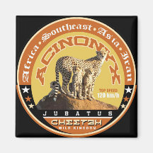 cheetah fridge magnets