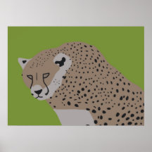 cheetah green poster