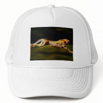 Cheetah Hunting His Prey Hats