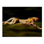 Cheetah Hunting His Prey Postcard