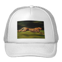 Cheetah Hunting His Prey Trucker Hats