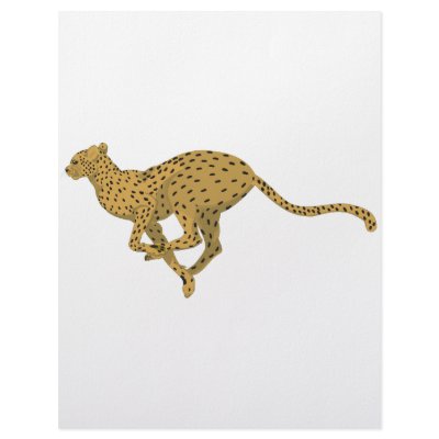 Cheetah! Letterhead Template by LSDmeCom