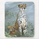 Cheetah Mom