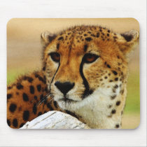 Cheetah Mouse Mat