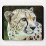 cheetah mouse mat