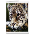 Cheetah Painting Card
