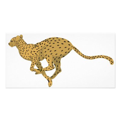 Cheetah! Photo Card by LSDmeCom