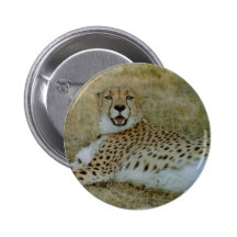 Cheetah Pin