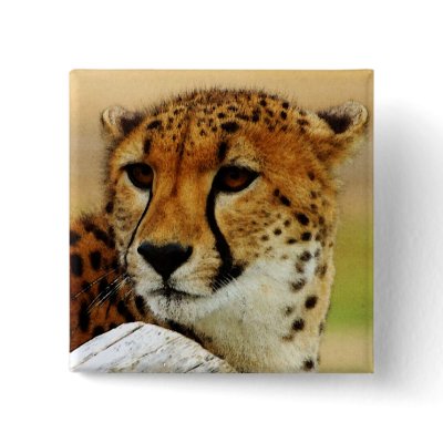 Cheetah Pins by pixelholic