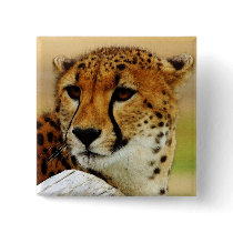 Cheetah Pins