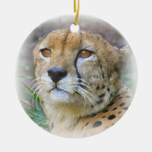 Cheetah portrait christmas tree ornament