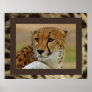 Cheetah Poster