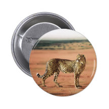Cheetah Prints Button