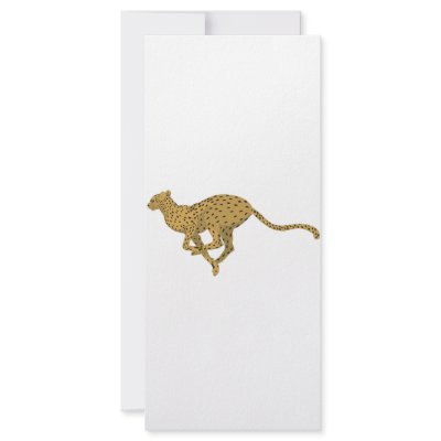 Cheetah! Customized Rack Card by LSDmeCom