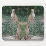 CHEETAH - SEEING DOUBLE MOUSE PADS
