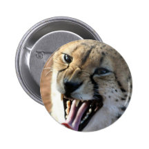 Cheetah Snarl Button