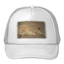 Cheetah Spots Baseball Hat