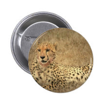 Cheetah Spots Button