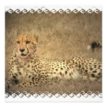 Cheetah Spots Invitations
