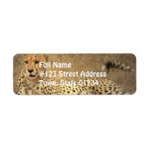 Cheetah Spots Mailing Label