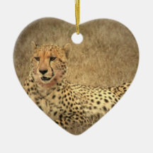 Cheetah Spots Ornament