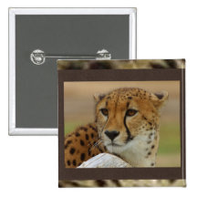 Cheetah Square Button