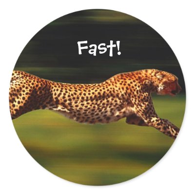 Cheetah Stickers by Lenny46824