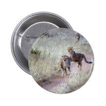 Cheetahs in Namibia Button