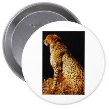 Cheetahs stance button