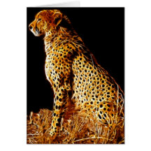 Cheetahs stance cards