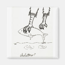 Chelators magnet